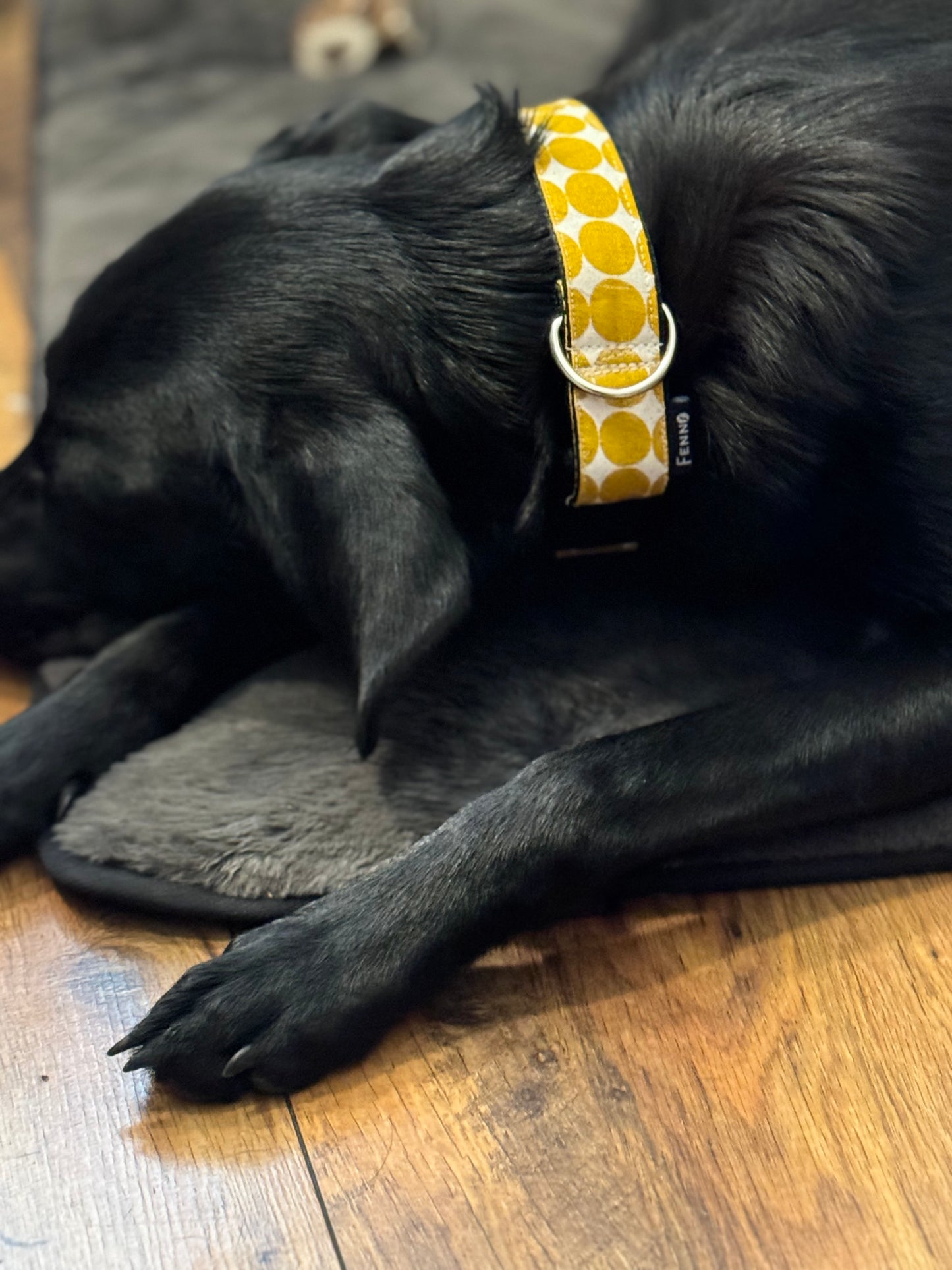 Hundehalsband