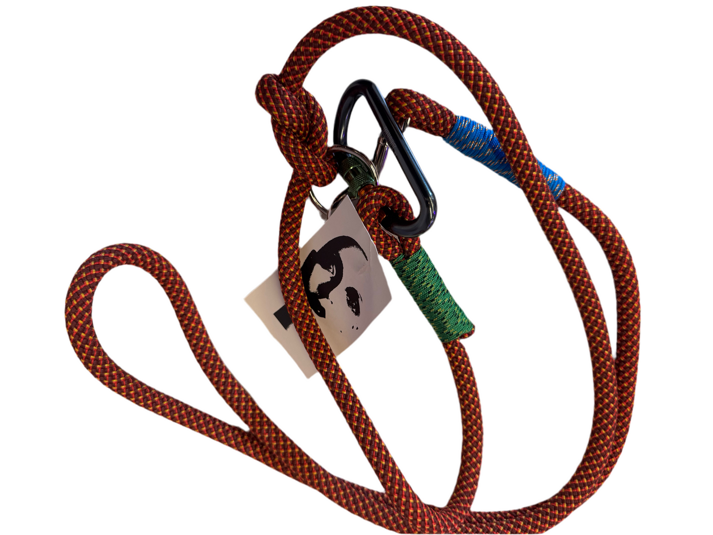 Hundeleine aus Kletterseil - Robust & Wetterfest für aktive Hunde