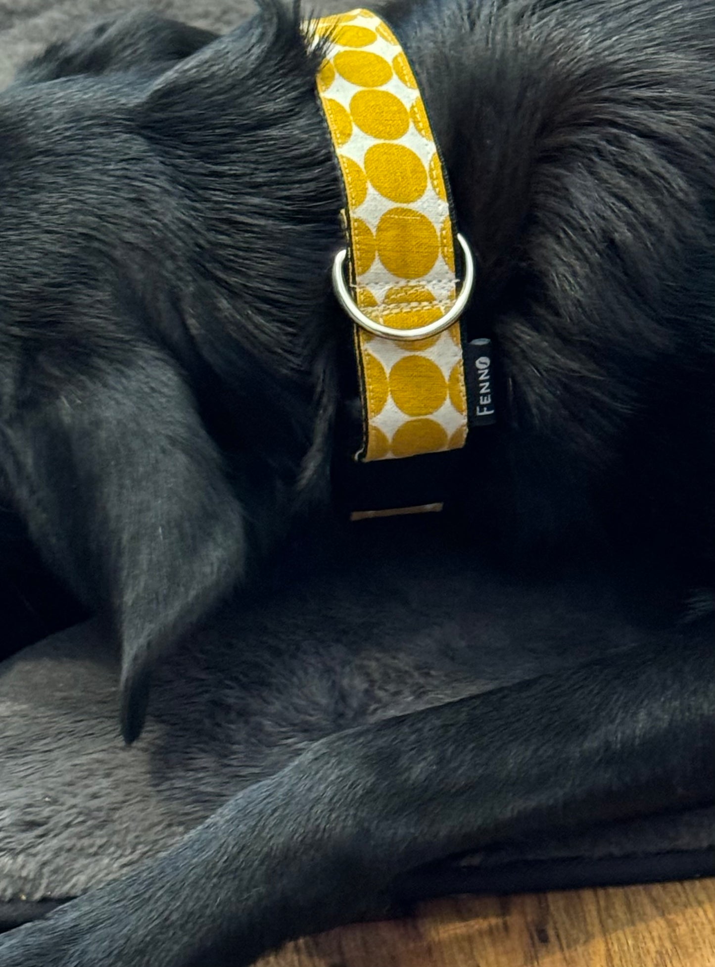 Hundehalsband