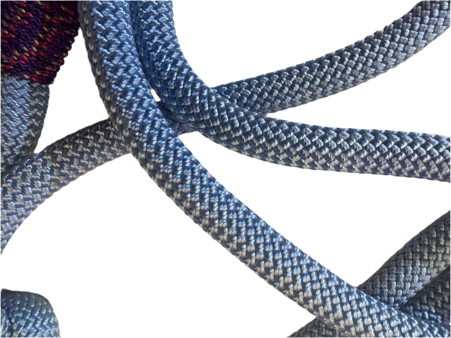 Hundeleine aus Kletterseil - Robust & Wetterfest für aktive Hunde