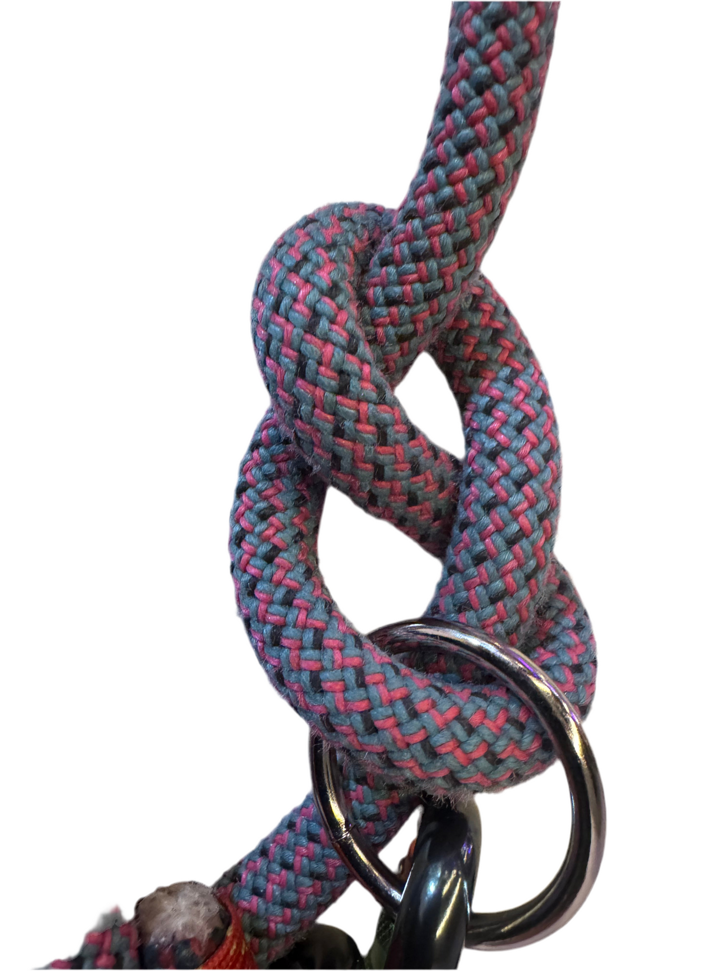 Hundeleine aus Kletterseil - Robust & Wetterfest für aktive Hunde