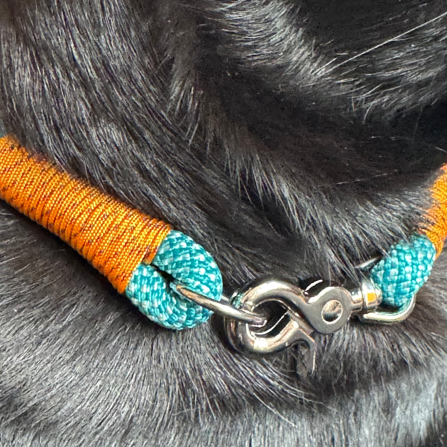 Hundehalsband individuell - Robust & Komfortabel für Ihren Vierbeiner