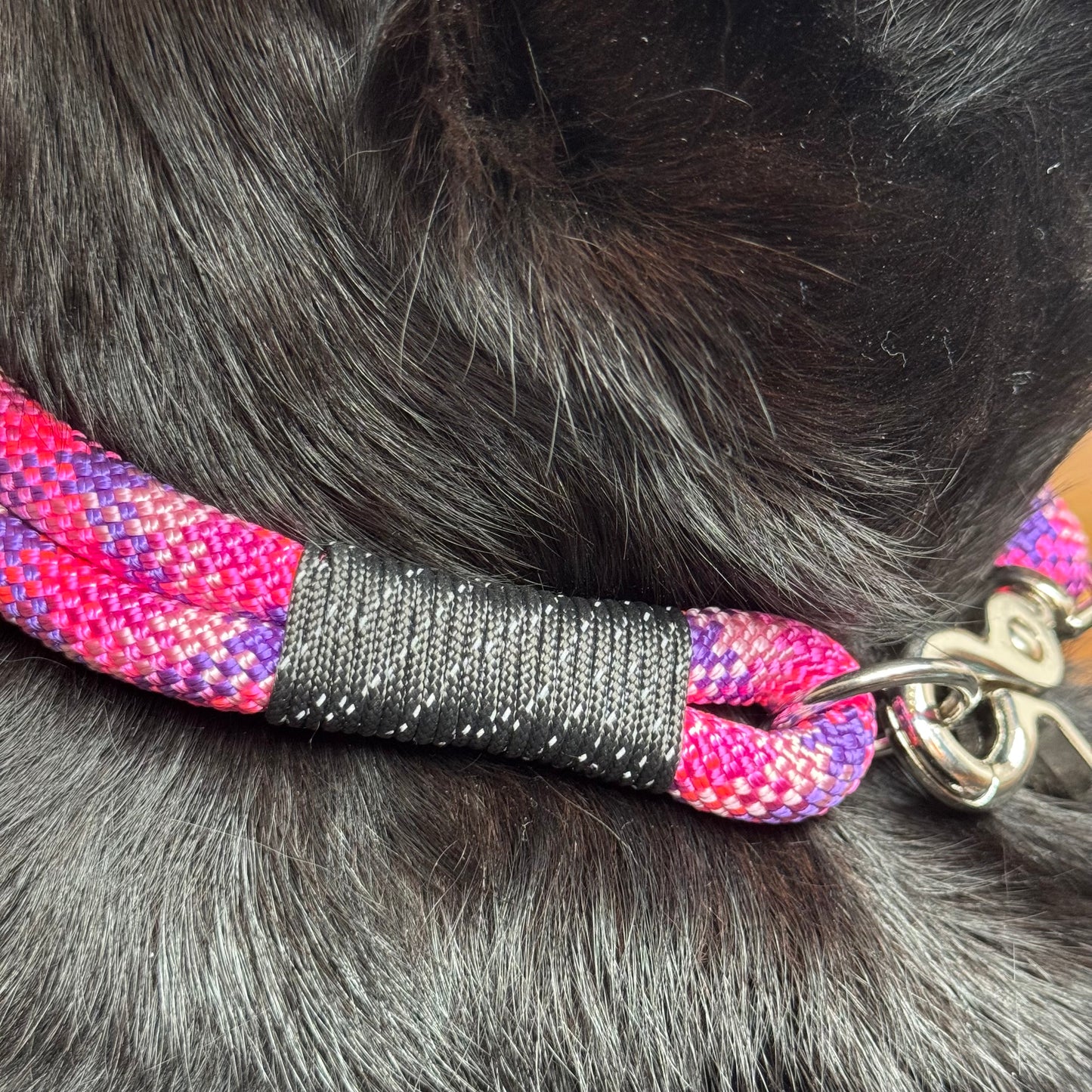 Hundehalsband individuell - Robust & Komfortabel für Ihren Vierbeiner