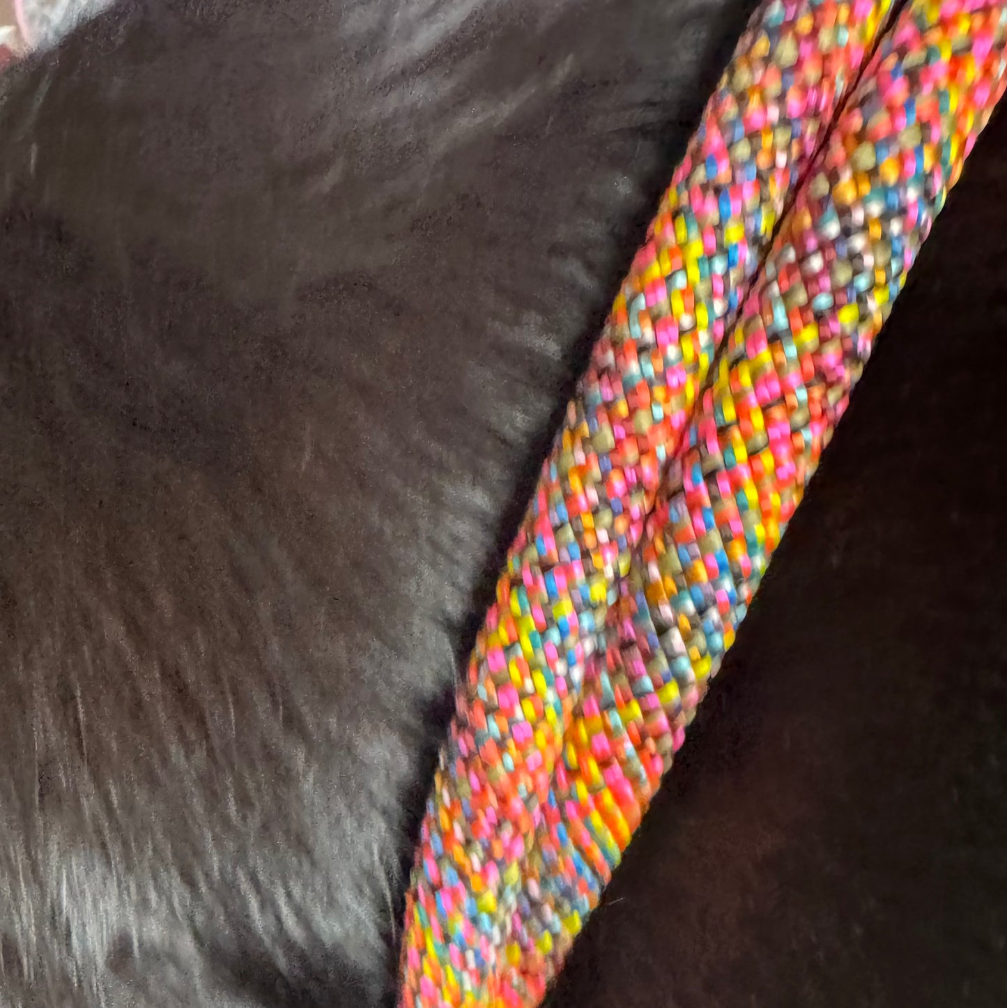 Hundehalsband individuell - Robust & Komfortabel für Ihren Vierbeiner