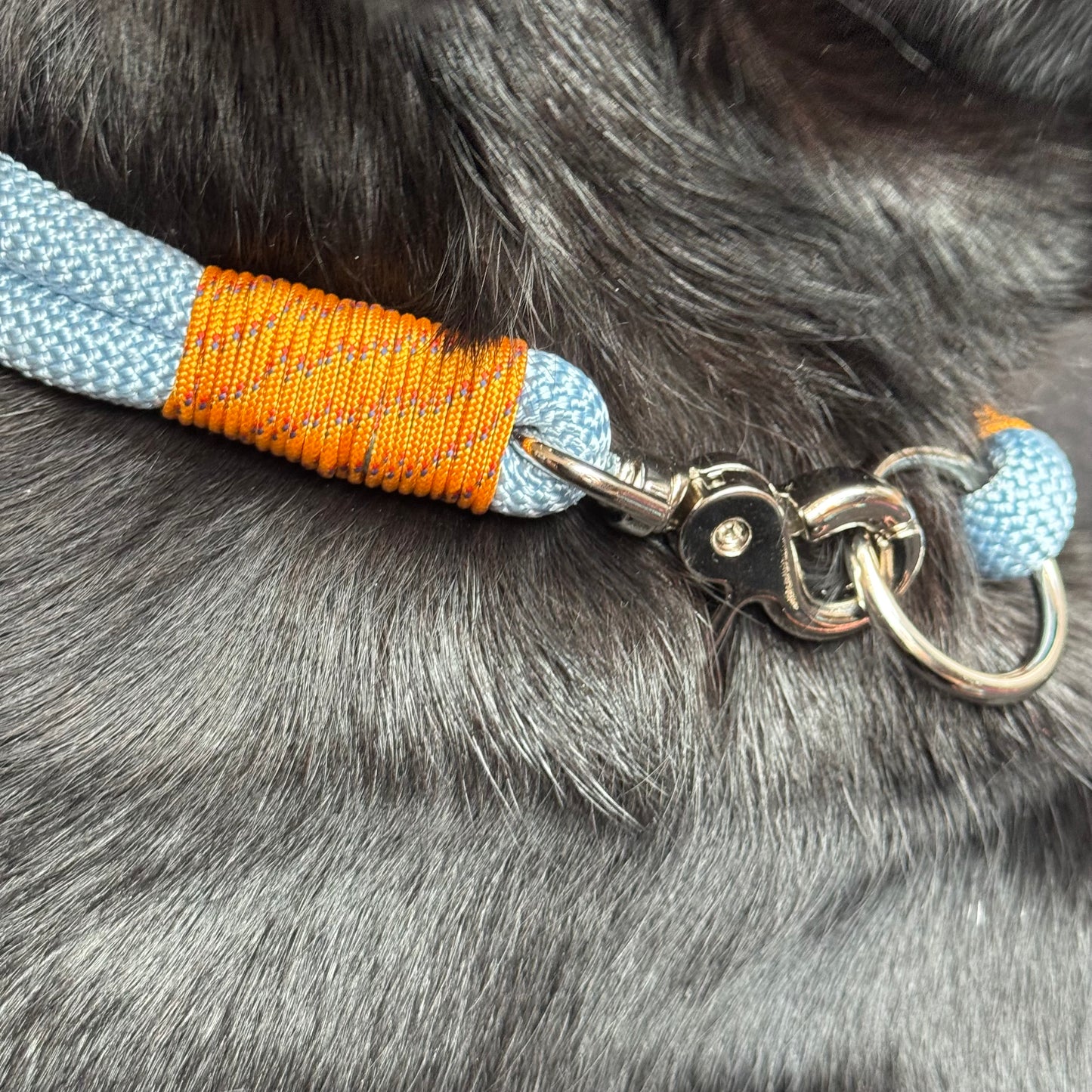 Hundehalsband individuell - Robust & Komfortabel für Ihren Vierbeiner